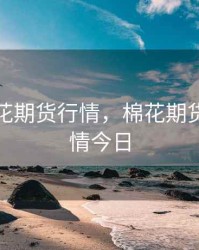 最新棉花期货行情，棉花期货最新行情今日