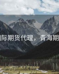 西宁国际期货代理，青海期货公司