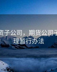 期货全资子公司，期货公司子公司管理暂行办法