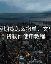 文华财经期货怎么撤单，文华财经期货软件使用教程