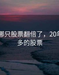 2020年哪只股票翻倍了，20年翻倍最多的股票