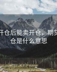 期货买开仓后能卖开仓，期货卖出开仓是什么意思