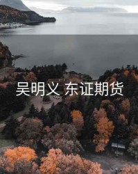 吴明义 东证期货