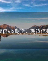 双倍vix期货，期货倍数