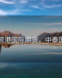 中泰投资港国际期货，中泰国际股票