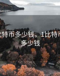 零九年比特币多少钱，1比特币2009年多少钱
