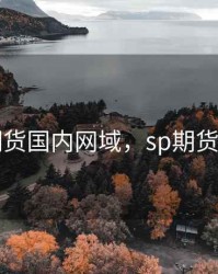 sp期货国内网域，sp期货代码