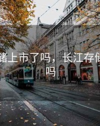 长江存储上市了吗，长江存储上市了吗