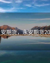2018永安期货，永安期货2020年报