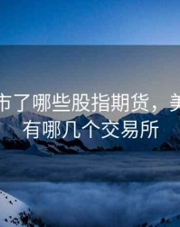 美国上市了哪些股指期货，美国上市有哪几个交易所