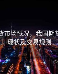 我国期货市场慨况，我国期货市场的现状及交易规则