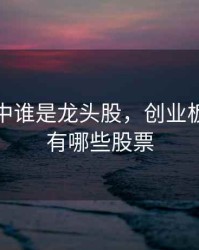 创业板中谁是龙头股，创业板龙头股有哪些股票