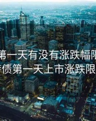 可转债第一天有没有涨跌幅限制，可转债第一天上市涨跌限制