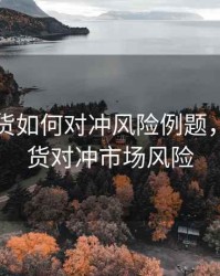 股指期货如何对冲风险例题，股指期货对冲市场风险