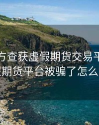 武汉警方查获虚假期货交易平台，虚假期货平台被骗了怎么办