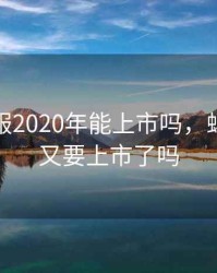 蚂蚁金服2020年能上市吗，蚂蚁金服又要上市了吗
