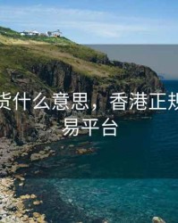 香港期货什么意思，香港正规期货交易平台
