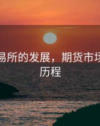 期货交易所的发展，期货市场的发展历程