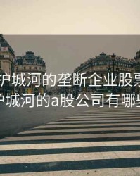 2020有护城河的垄断企业股票，拥有护城河的a股公司有哪些