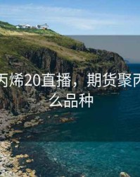 期货聚丙烯20直播，期货聚丙烯是什么品种