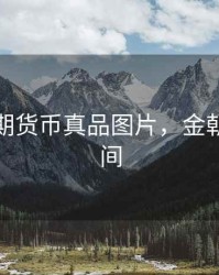 金朝時期货币真品图片，金朝存续时间