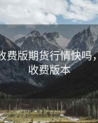 通达信收费版期货行情快吗，通达信收费版本