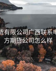 东方期货有限公司广西联系电话，东方期货公司怎么样