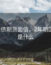 2年期国债期货面值，2年期国债期货是什么