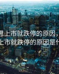 莎普爱思上市就跌停的原因，莎普爱思上市就跌停的原因是什么