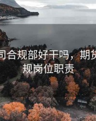 期货公司合规部好干吗，期货公司合规岗位职责