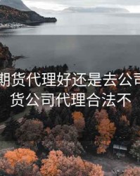 自己做期货代理好还是去公司，做期货公司代理合法不