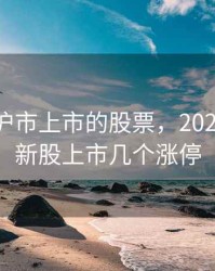 2020年沪市上市的股票，2020年沪市新股上市几个涨停