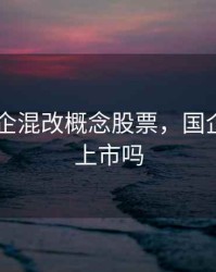 2020国企混改概念股票，国企混改会上市吗