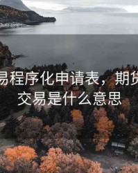 期货交易程序化申请表，期货程序化交易是什么意思