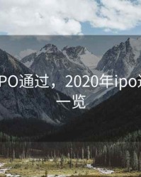 2020年IPO通过，2020年ipo过会企业一览