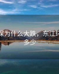 东江环保为什么大跌，东江环保市值多少