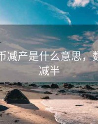 数字货币减产是什么意思，数字货币减半