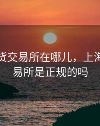 上海期货交易所在哪儿，上海期货交易所是正规的吗