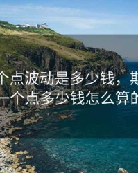 期货一个点波动是多少钱，期货波动一个点多少钱怎么算的
