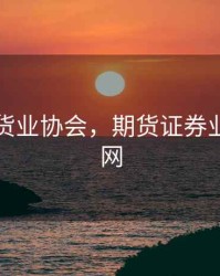 南证期货业协会，期货证券业协会官网