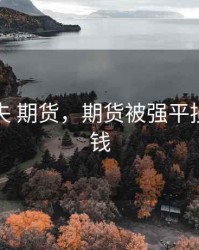 双重损失 期货，期货被强平损失多少钱