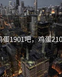 期货鸡蛋1901吧，鸡蛋2108期货