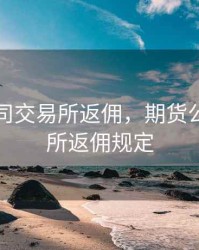 期货公司交易所返佣，期货公司交易所返佣规定