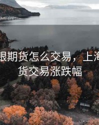 上海白银期货怎么交易，上海白银期货交易涨跌幅