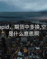 期货中opid，期货中多换,空换,双平,是什么意思啊