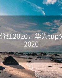 华为tup分红2020，华为tup分红规则 2020