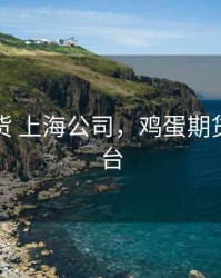 鸡蛋期货 上海公司，鸡蛋期货交易平台