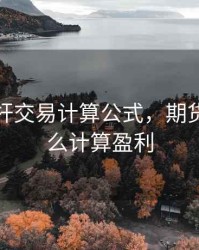 期货杠杆交易计算公式，期货杠杆怎么计算盈利