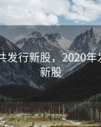 2020年共发行新股，2020年发行的次新股