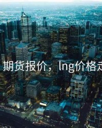lng 期货报价，lng价格走势